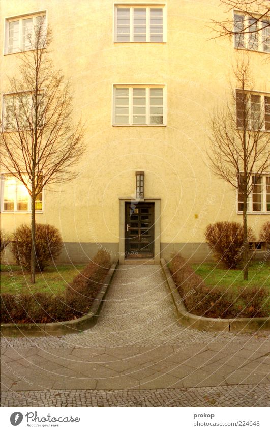 Vorderansicht Pflanze Baum Gras Haus Fassade Garten Fenster Tür authentisch Sauberkeit konservativ Herbst Bürgersteig einfach Geometrie Eingang Altbau Symmetrie