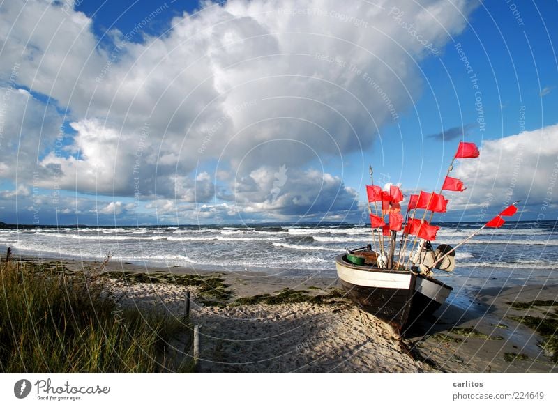 Das Boot Umwelt Natur Wasser Himmel Horizont Herbst Sturm Wellen Küste Ostsee Insel liegen ästhetisch Unendlichkeit natürlich blau rot Sehnsucht Bewegung