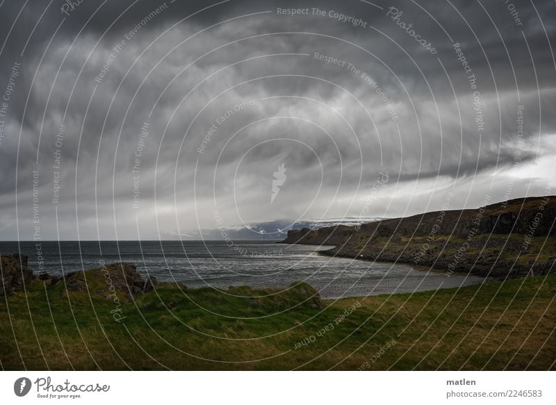 Gelockte Wolken Natur Landschaft Himmel Horizont Frühling schlechtes Wetter Wind Gras Felsen Berge u. Gebirge Schneebedeckte Gipfel Küste Strand Fjord Meer