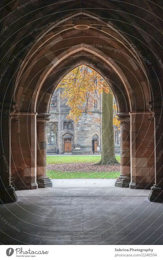 Treten Sie ein. Kunst Kultur Umwelt Herbst Schönes Wetter Gras Garten Wiese Glasgow Großbritannien Schottland Europa Stadt Altstadt Menschenleer Bauwerk Gebäude