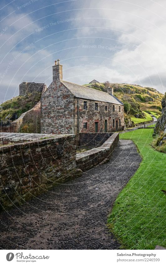 Dumbarton Castle Kunst Architektur Kultur Umwelt Landschaft Pflanze Tier Wolken Sonne Herbst Schönes Wetter Gras Wiese Hügel Felsen Berge u. Gebirge Gipfel