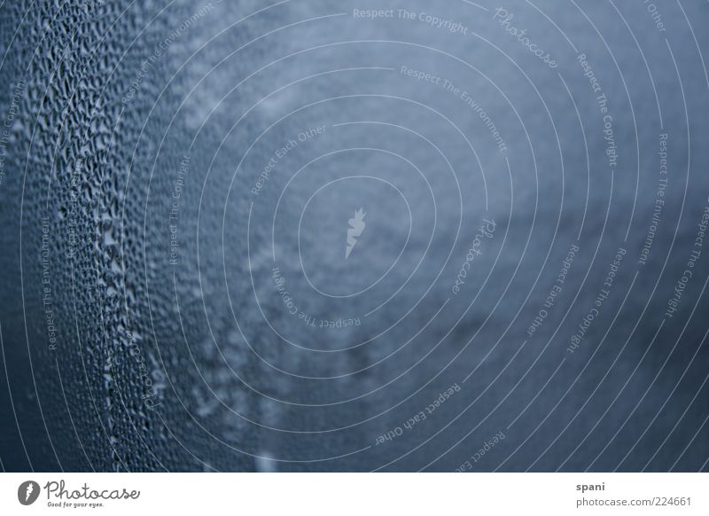 Tauwetter Wasser Wassertropfen Klima Wetter Regen Eis Frost Glas Tropfen kalt nass blau Fenster Kondenswasser Fensterscheibe Farbfoto Innenaufnahme