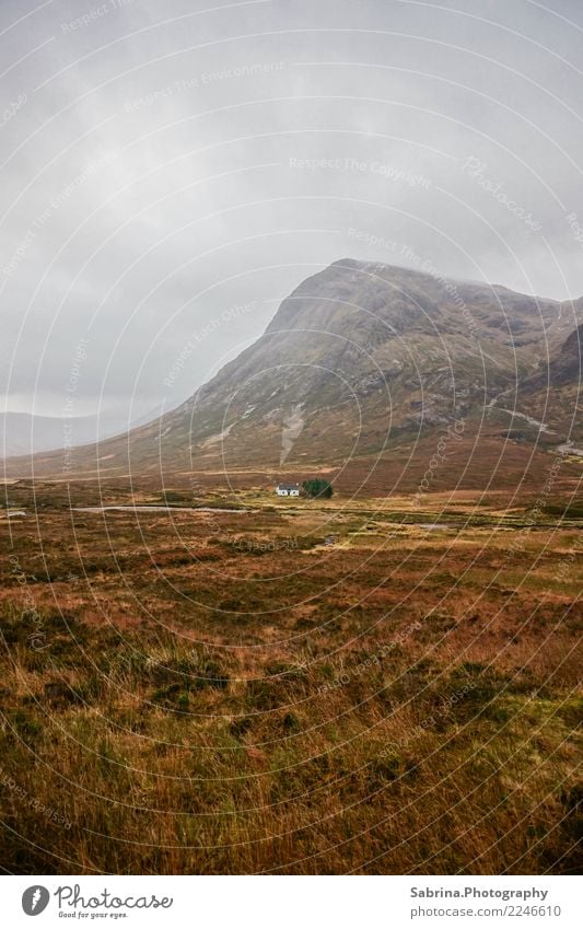 Von der Natur umzingelt. Umwelt Landschaft Wolken Herbst Winter schlechtes Wetter Nebel Sträucher Wiese Berge u. Gebirge Menschenleer Haus Einfamilienhaus Hütte