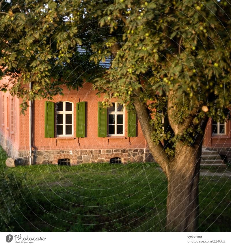 Abendstimmung Lifestyle elegant Häusliches Leben Natur Baum Garten Wiese Einfamilienhaus Einsamkeit einzigartig Erholung Idylle Nostalgie schön träumen Wert