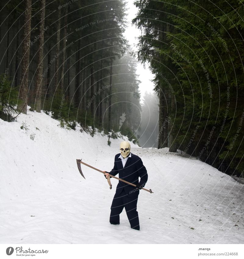 Gevatter Halloween maskulin Leben 1 Mensch Natur Winter Nebel Wald Anzug Zeichen bedrohlich Coolness gruselig kalt Gefühle Trauer Angst Entsetzen Todesangst