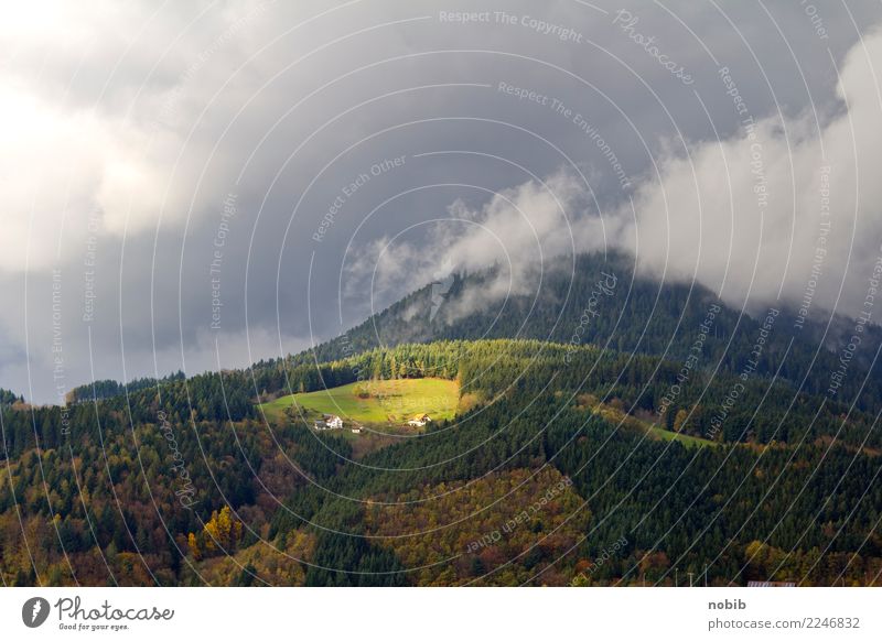 schwarzwaldgipfel Ferien & Urlaub & Reisen Tourismus Ausflug Berge u. Gebirge wandern Natur Landschaft Wolken Gewitterwolken Sonne Herbst Wetter Unwetter Baum