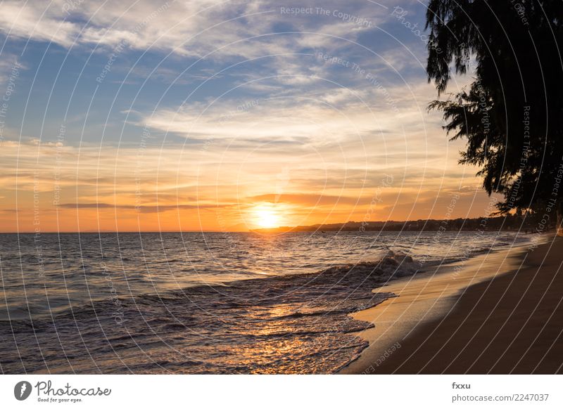 Mui Ne Strand Sonnenuntergang Abenddämmerung Meer gold mehrfarbig Wolken Lichtstimmung Himmel Natur Landschaft Vietnam mui ne sündvietnam Sommer genießen