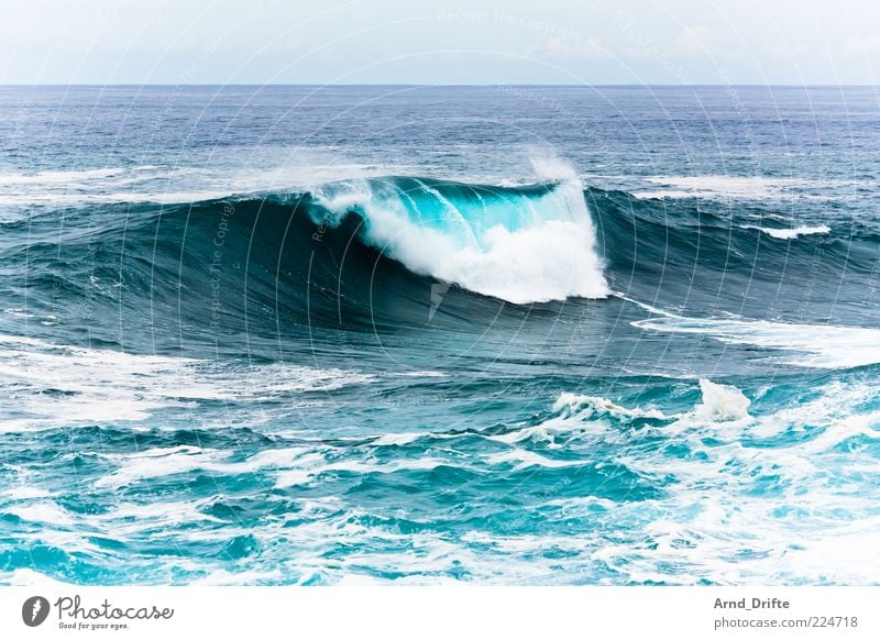 Welle II Strand Meer Wellen Unwetter Sturm Küste groß Hintergrundbild Brandung Gischt Farbfoto Außenaufnahme Tag Kraft Wasserkraftwerk schäumen Ferne brechen