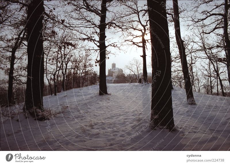 Wartburgblick Ferne Umwelt Natur Landschaft Winter Eis Frost Schnee Baum Wald Einsamkeit entdecken Erholung geheimnisvoll Idylle Leben Nostalgie ruhig träumen