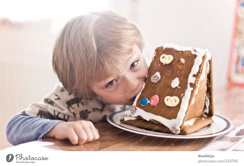 lebkuchenbeisserei Junge Kind Lebkuchen Lebkuchenhaus Ernährung Essen beißen Biss Tisch maskulin Winter Holz Wachsamkeit aufschauend direkt Teller