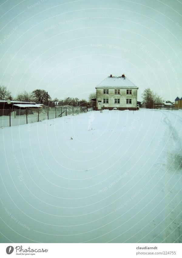 Heimatdorf Winter Schnee Menschenleer Haus Einfamilienhaus Gebäude Fassade alt dreckig blau weiß kalt Frost Zaun blaustich Grundstück Außenaufnahme