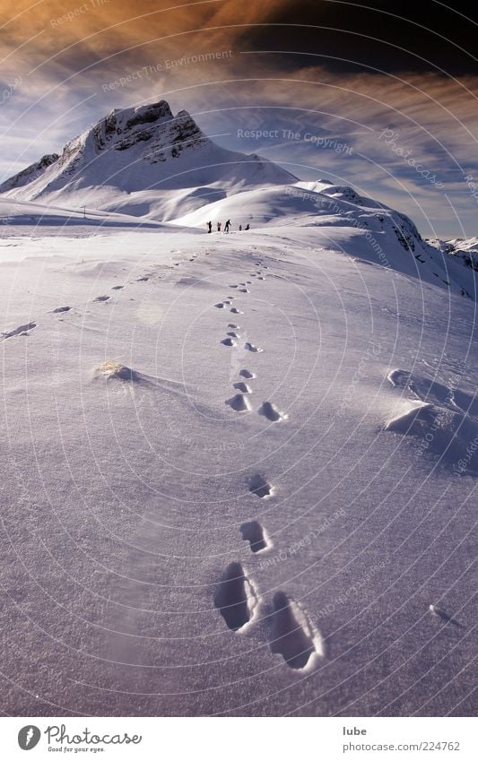 Hasenspur Ferien & Urlaub & Reisen Tourismus Winter Schnee Berge u. Gebirge Natur Landschaft Schönes Wetter Felsen Alpen Gipfel Schneebedeckte Gipfel Fährte