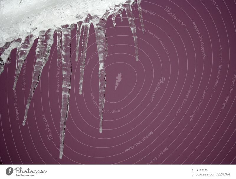 rosarote eiszeit. Himmel Winter Eis Frost Eiszapfen weiß Farbfoto Außenaufnahme Dämmerung herunterhängend Menschenleer gefroren Wasser Textfreiraum rechts