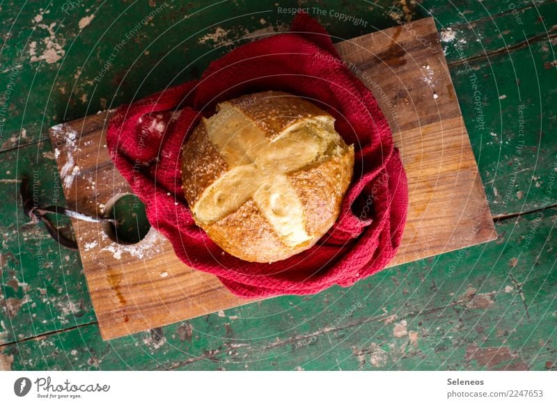 Brotzeit Lebensmittel Teigwaren Backwaren Ernährung Essen Bioprodukte Vegetarische Ernährung frisch Gesundheit lecker backen Salz Laugengebäck Laugenbrötchen