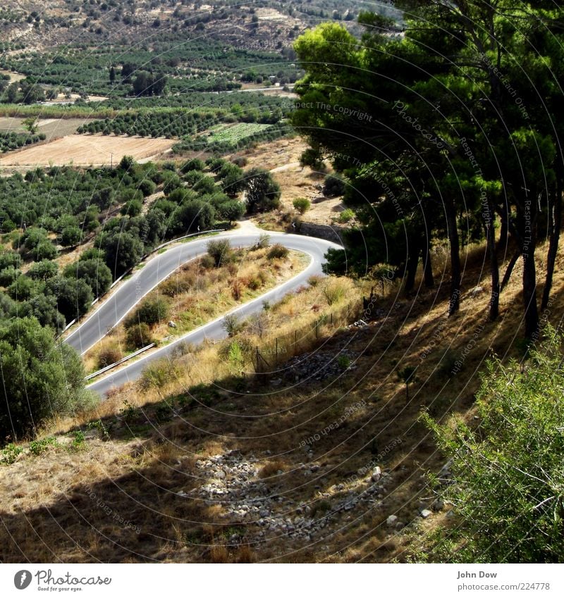 Phaistos Ferien & Urlaub & Reisen Ausflug Sommer Sommerurlaub Schönes Wetter Pflanze Baum Gras Sträucher Verkehrswege Straße eng Kurve Haarnadelkurve Berghang