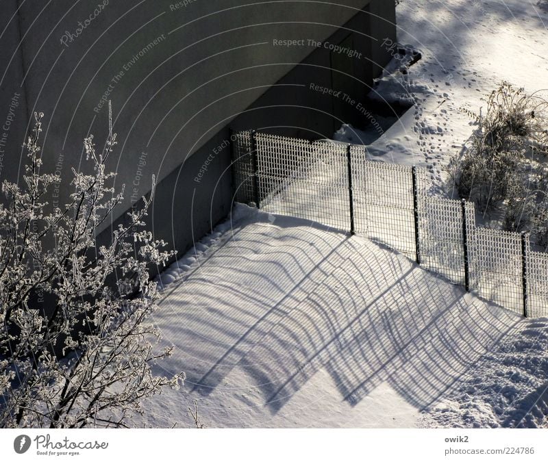 Schattenseite Winter Klima Wetter Schönes Wetter Eis Frost Pflanze Baum Sträucher Haus Mauer Wand Fassade Zaun Drahtzaun eckig kalt grau schwarz weiß ruhig