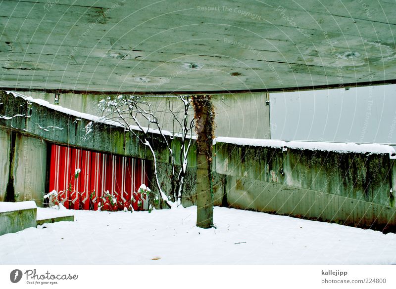 ein dach über dem kopf Mauer Wand grau Dach Beton rund Baum Winter kalt Treppe Design Farbfoto Außenaufnahme Menschenleer Licht Schatten Kontrast verwittert