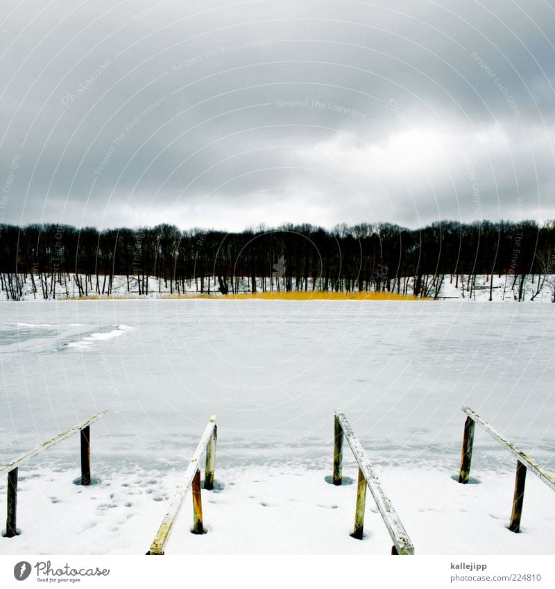 schlachtensee Ferien & Urlaub & Reisen Ausflug Ferne Winter Schnee Winterurlaub Umwelt Natur Landschaft Wasser Klima Eis Frost Seeufer Teich kalt Anlegestelle