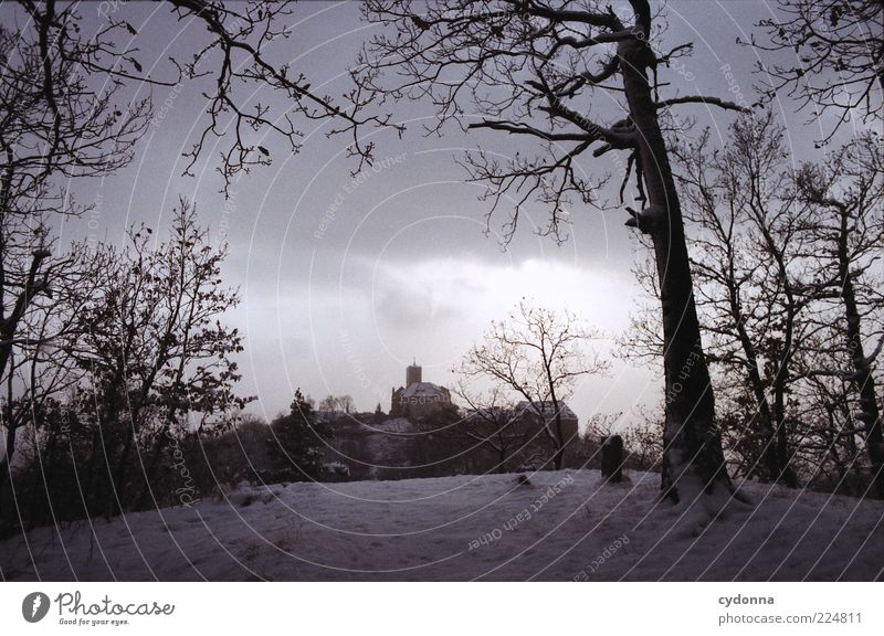 Wartburgblick I Ausflug Ferne Sightseeing Winterurlaub Umwelt Natur Landschaft Wolken Schnee Baum Wald Einsamkeit Nostalgie ruhig stagnierend Vergangenheit