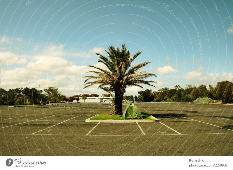 Holiday Menschenleer Platz Glück Fröhlichkeit Parkplatz Zelt Palme Farbfoto Außenaufnahme Grünfläche Himmel Wolken Schönes Wetter Asphalt Teer Markierungslinie