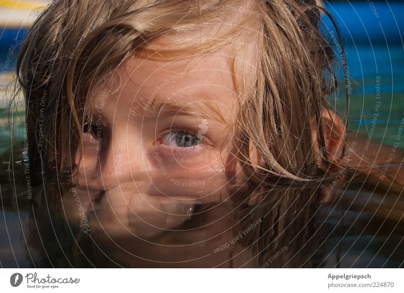 Nase zu und durch Schwimmen & Baden Kind Junge Kindheit Kopf Gesicht 1 Mensch 8-13 Jahre Wasser Sommer Blick Coolness nass Neugier niedlich Mut Freizeit & Hobby