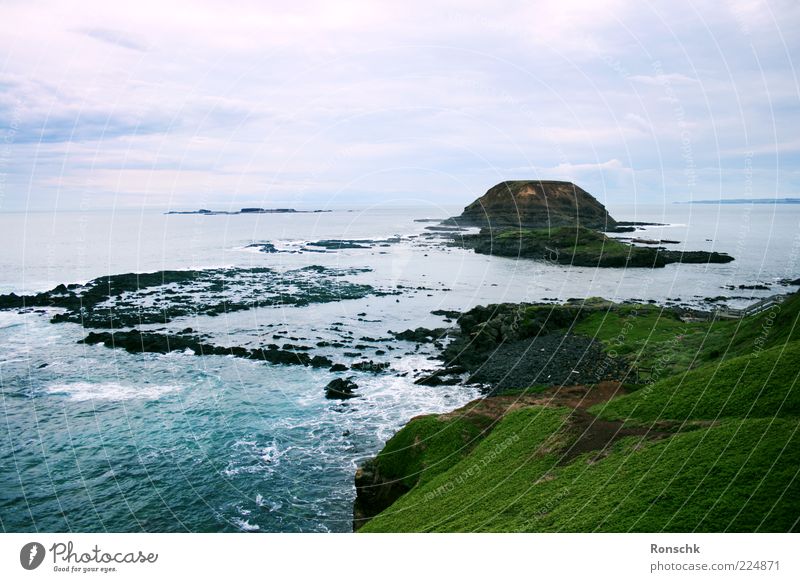 Südküste Australien Natur Landschaft Wasser Himmel Gras Felsen Küste Meer Sehnsucht Fernweh Außenaufnahme Menschenleer Abend Panorama (Aussicht) Brandung Gischt