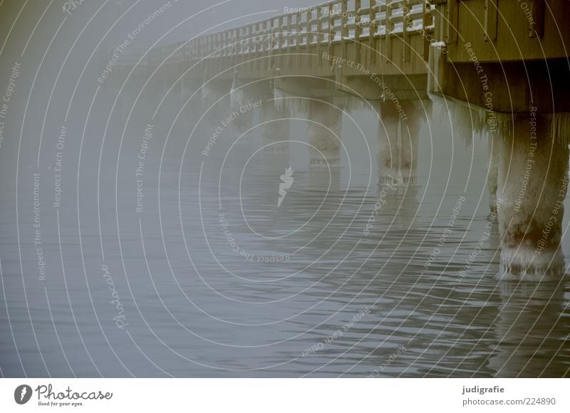 Küstennebel Umwelt Natur Wasser Winter Klima Wetter schlechtes Wetter Nebel Eis Frost Ostsee Meer Brücke Bauwerk Sehenswürdigkeit dunkel kalt Stimmung Seebrücke