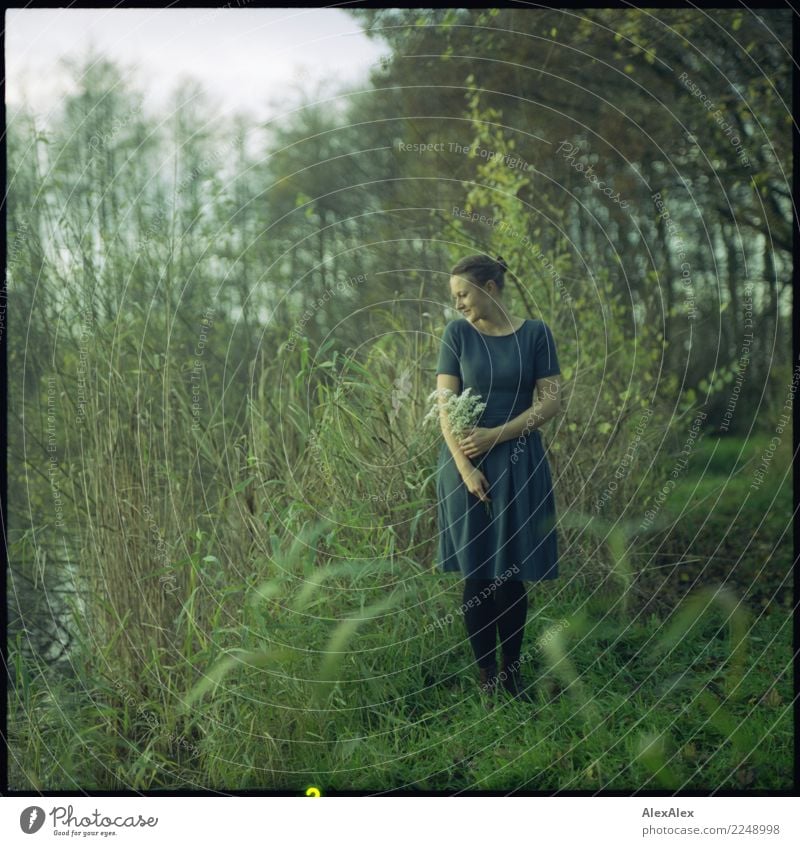 Am See Glück schön harmonisch ruhig Junge Frau Jugendliche 18-30 Jahre Erwachsene Natur Landschaft Herbst Schönes Wetter Blume Gras Sträucher Seeufer Kleid