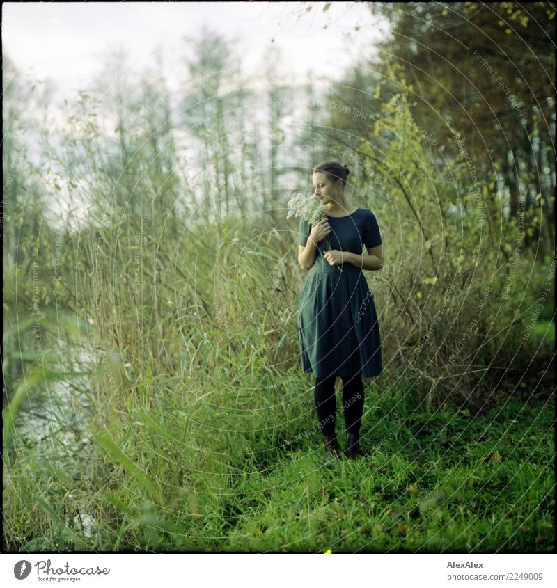 Laura Glück schön harmonisch ruhig Junge Frau Jugendliche 18-30 Jahre Erwachsene Natur Landschaft Sommer Herbst Schönes Wetter Gras Sträucher Seeufer Kleid