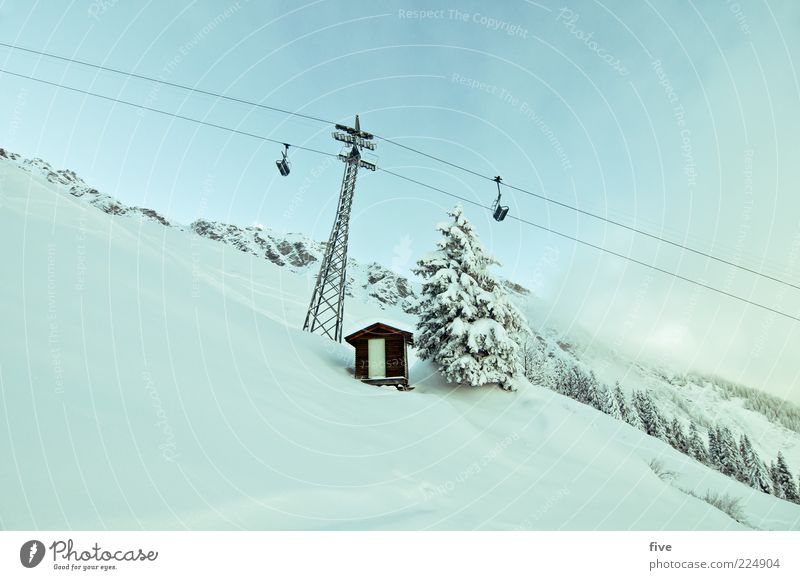 powderfahrt Skipiste Natur Winter Schönes Wetter Schnee Pflanze Baum Hügel Felsen Alpen Berge u. Gebirge frisch kalt Skilift Hütte Tür Farbfoto Außenaufnahme