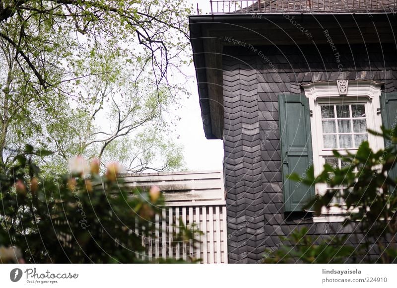 Spring Home Reichtum Wohlgefühl Erholung Ferien & Urlaub & Reisen Häusliches Leben Haus Traumhaus Umwelt Natur Pflanze Frühling Sommer Wetter Schönes Wetter