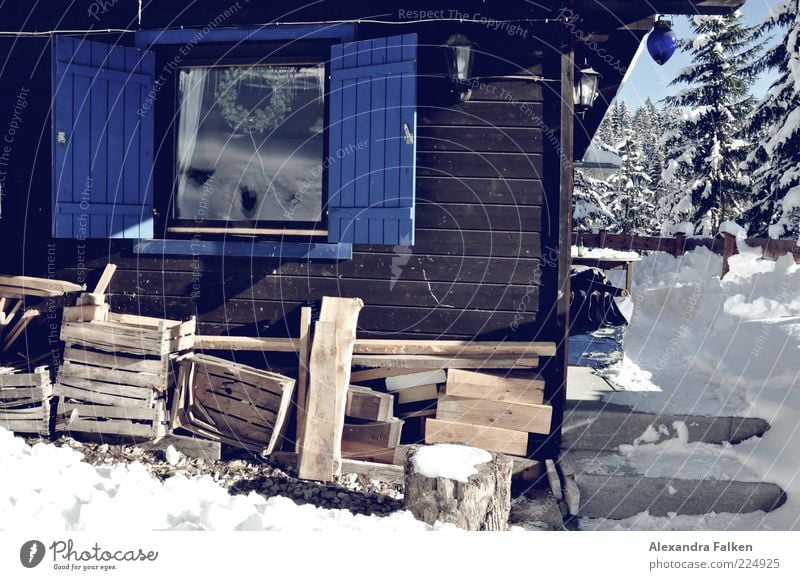 Holz vor der Hütt'n. Eis Frost Schnee Haus Einfamilienhaus Hütte Holzhütte Berghütte Fenster Fensterladen authentisch Tradition alpin wohnlich Brennholz heizen