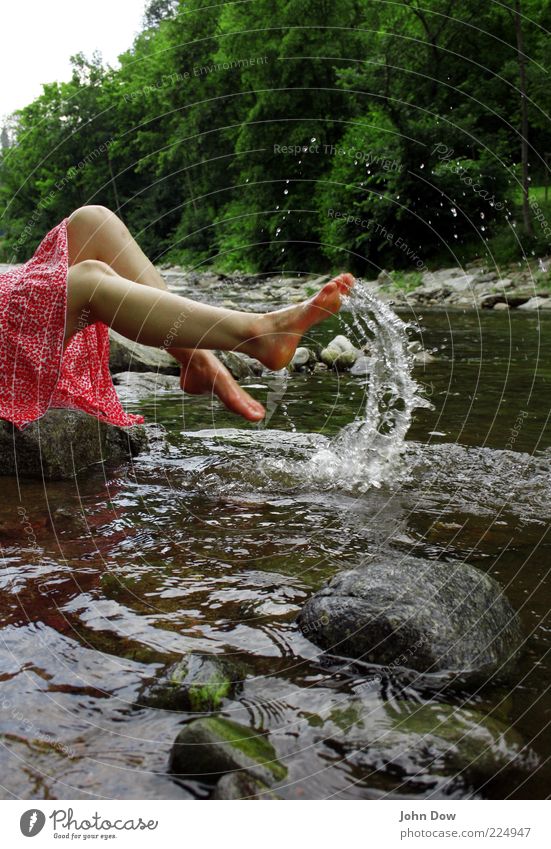 Loreley Sommer Sonnenbad feminin Junge Frau Jugendliche Beine Fuß 1 Mensch Frühling Pflanze Baum Sträucher Flussufer Rock Fröhlichkeit frisch Freude