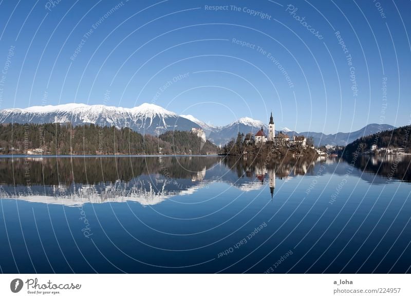 take the long way home Winter Schönes Wetter Eis Frost Alpen Berge u. Gebirge Schneebedeckte Gipfel Seeufer Insel Bled Kleinstadt Altstadt Menschenleer Kirche