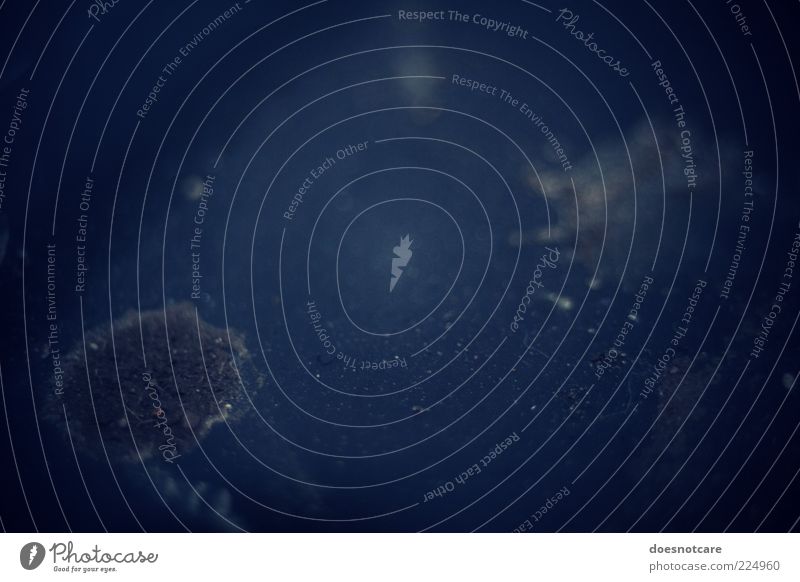 DIRT. Oberfläche dreckig blau Staub staubig Farbfoto Gedeckte Farben Detailaufnahme Makroaufnahme Menschenleer Textfreiraum rechts Textfreiraum oben