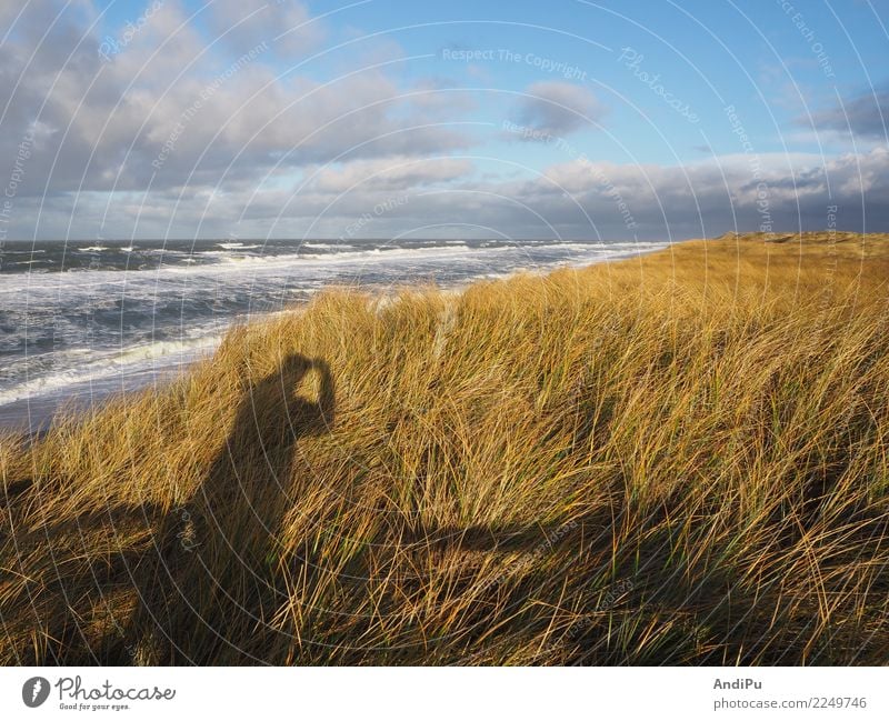 Morgendliche Stimmung an der Küste von Hörnum auf Sylt Wellness Erholung ruhig Ferien & Urlaub & Reisen Tourismus Ausflug Freiheit Strand Meer Insel Wellen