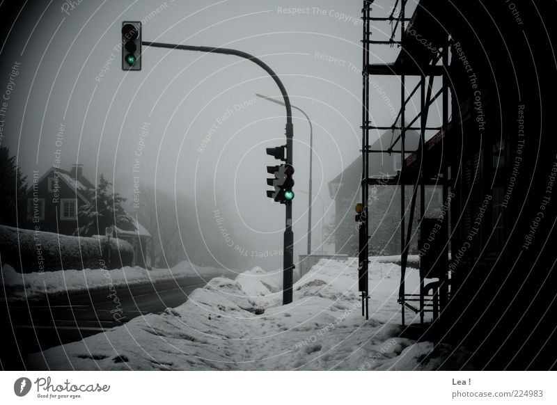 Bei rot bleib ich stehen, bei grün darf ich gehen! Wetter Nebel Eis Frost Schnee Verkehrswege Straße Ampel Ferne trist grau schwarz weiß Einsamkeit Umwelt