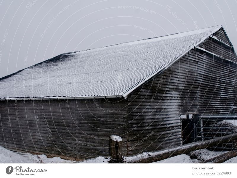 Gimme Shelter Landwirtschaft Bauernhof Stall Winter Wetter Schnee Gebäude Holz Holzhaus Scheune frieren kalt Schutz Tierhaltung Dach Zaun Menschenleer Tag