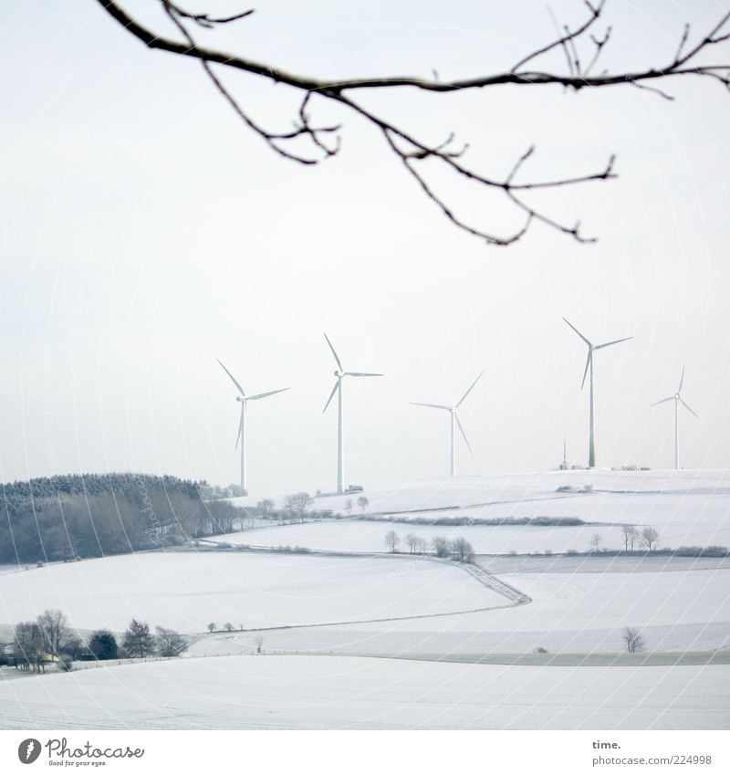 Wolkenkratzer im Lippischen Winter Schnee Energiewirtschaft Umwelt Landschaft Baum hell grau weiß Umweltschutz Ast Zweig Schneelandschaft Wäldchen Farbfoto