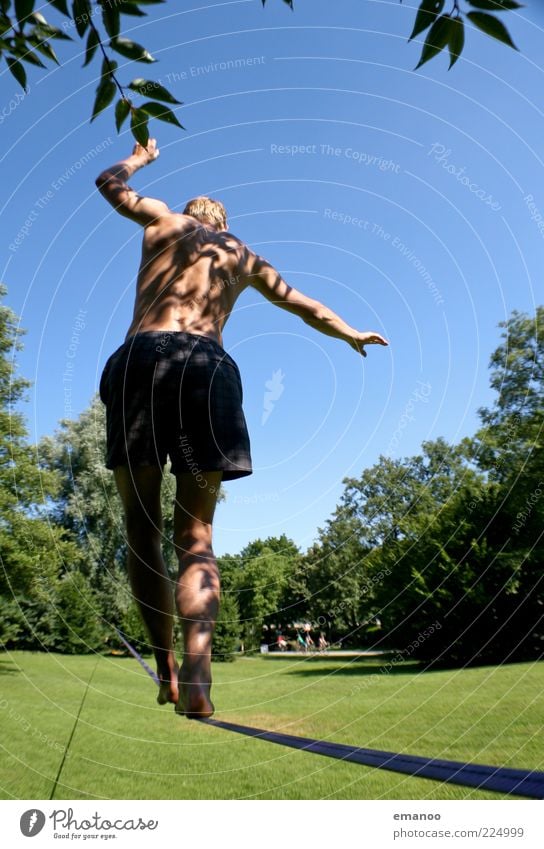 long line Lifestyle Freude Sommer Sonne Sport Sportler Mensch Junger Mann Jugendliche 1 18-30 Jahre Erwachsene Baum Gras Park Wiese Bewegung gehen laufen