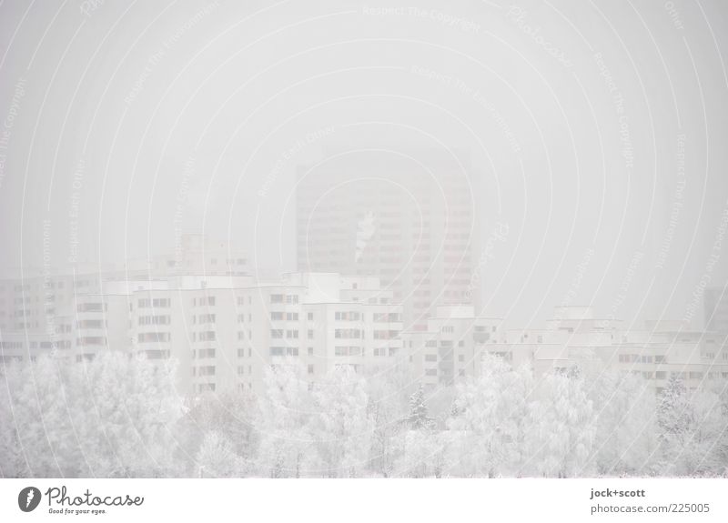 Schneeblind am Stadtrand Luft Himmel Winter schlechtes Wetter Nebel Baum Marienfelde Wohnhochhaus kalt weiß Umwelt Dunst Wintertag Winterlicht Gedeckte Farben