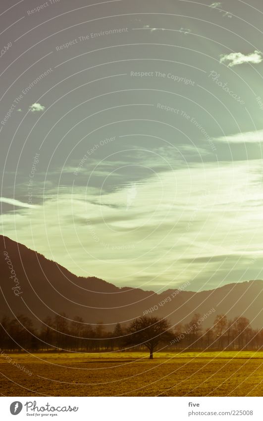 morgenstund Umwelt Natur Landschaft Himmel Wolken Herbst Wetter Pflanze Baum Grünpflanze Wiese Wald Felsen Berge u. Gebirge hell Stimmung Sonnenstrahlen