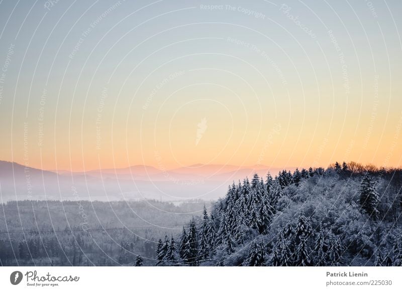 Winterabend Umwelt Natur Landschaft Urelemente Luft Himmel Wolkenloser Himmel Klima Wetter Schönes Wetter Schnee Wald Hügel Berge u. Gebirge Erholung hell schön