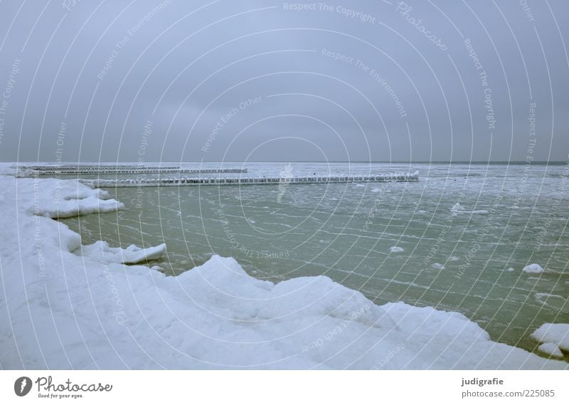 Ostsee Umwelt Natur Landschaft Himmel Wolken Winter Klima Eis Frost Küste Meer kalt natürlich Stimmung Einsamkeit Ferne Schnee Buhne ruhig Farbfoto