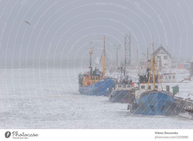 Schiffe Fischer im Winter Bioprodukte Ferien & Urlaub & Reisen Tourismus Strand Meer Schnee Natur Landschaft Himmel Wind Nebel Küste Nordsee Ostsee Dorf Stadt