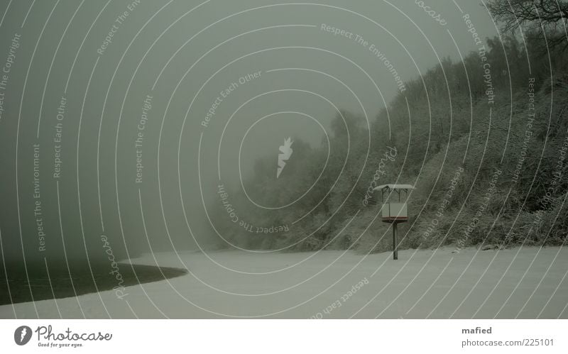 Baywatch Meer Winter Schnee Natur Landschaft Wasser schlechtes Wetter Nebel Baum Sträucher Küste Strand Ostsee Hochsitz grau grün weiß Einsamkeit kalt