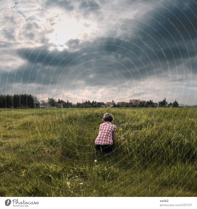 War' n schöner Blumenstrauß Freizeit & Hobby Mensch Frau Erwachsene Partner Rücken Umwelt Natur Landschaft Pflanze Himmel Gewitterwolken Klima Wetter Gras Wiese