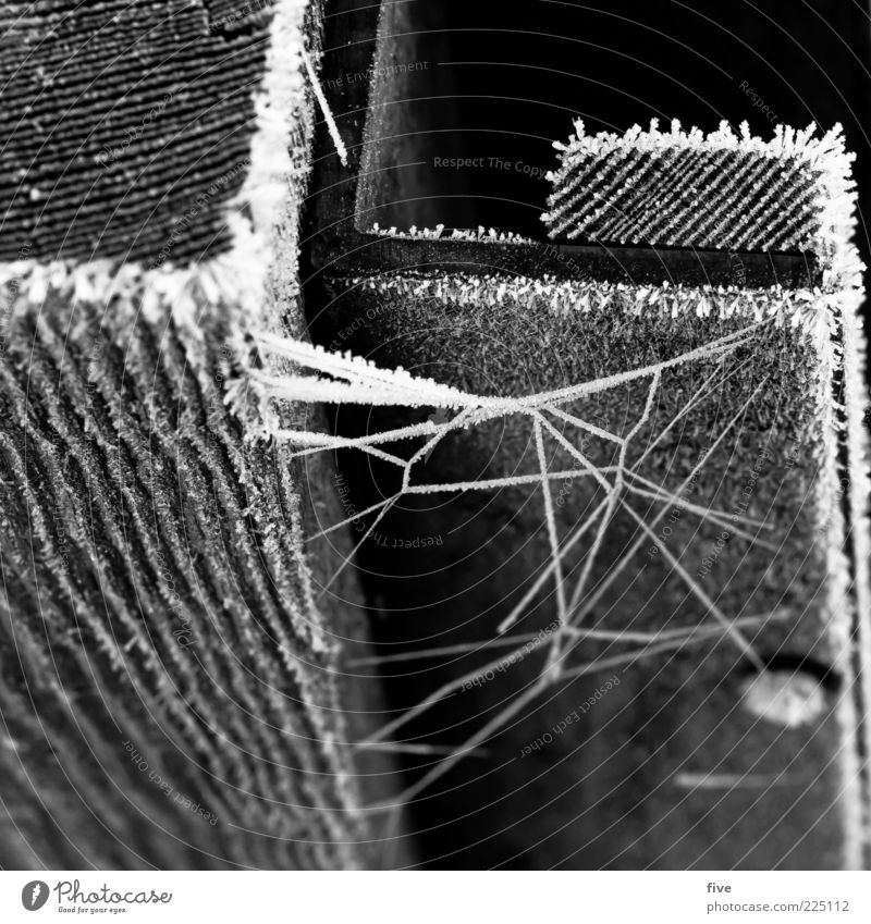 netzwerk Natur Winter Eis Frost Holz Metall kalt Netz Ecke Schraube Schwarzweißfoto eckig Vernetzung Außenaufnahme Detailaufnahme Makroaufnahme Unschärfe