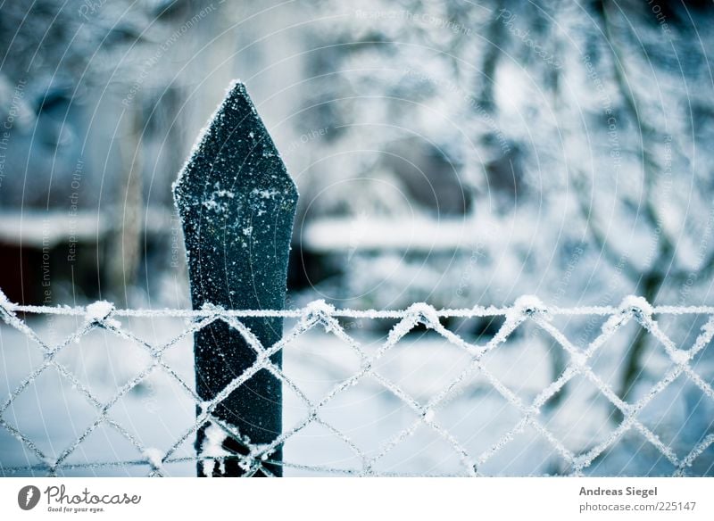 Weis(s)zeit Umwelt Natur Landschaft Winter Eis Frost Schnee Garten Zaun Zaunpfahl Maschendrahtzaun authentisch kalt Spitze weiß ästhetisch Klima Raureif