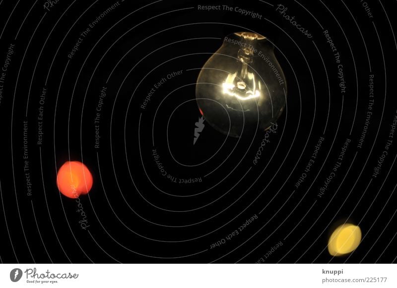 Erleuchtung Lampe Energiewirtschaft Technik & Technologie leuchten dunkel rund schwarz weiß Glühbirne Lampendetail Elektrizität Farbfoto Innenaufnahme